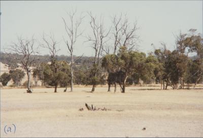 Property of DH (Dale) Edwards, 'Harrisdale Estate', West Beverley, Western Australia, Australia - 003