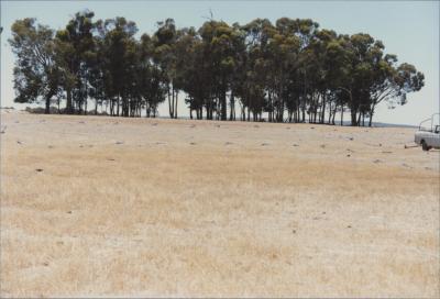 Property of DH (Dale) Edwards, 'Harrisdale Estate', West Beverley, Western Australia, Australia - 006