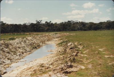 Property of Enright, Woogenellup, Western Australia, Australia - 003