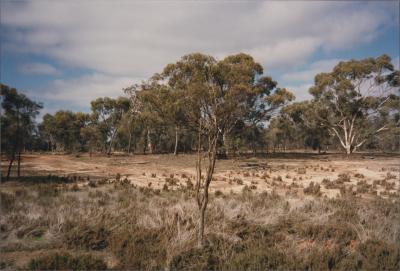 Property of LH (Lindsay) & EJ (Jan) Eva, 'Roseworthy Farms', Brookton, Western Australia, Australia - 006