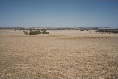 Property of LH (Lindsay) & EJ (Jan) Eva, 'Roseworthy Farms', Brookton, Western Australia, Australia - 008