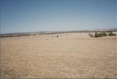 Property of LH (Lindsay) & EJ (Jan) Eva, 'Roseworthy Farms', Brookton, Western Australia, Australia - 009