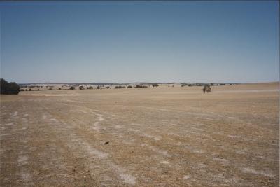 Property of BJ (Crash) and BE (Beryl) Edwards, 'Brooklands Park', Kweda, Western Australia, Australia - 010