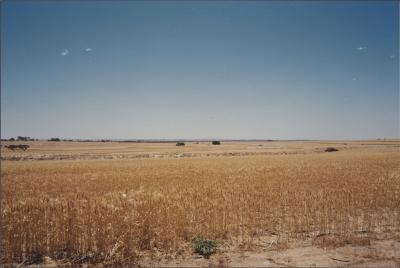 Property of BJ (Crash) and BE (Beryl) Edwards, 'Brooklands Park', Kweda, Western Australia, Australia - 011