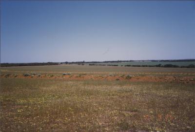 Property of BJ (Crash) and BE (Beryl) Edwards, 'Brooklands Park', Kweda, Western Australia, Australia - 003