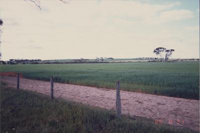 Property of BJ (Crash) and BE (Beryl) Edwards, 'Brooklands Park', Kweda, Western Australia, Australia - 004