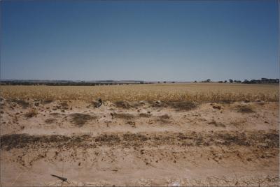 Property of BJ (Crash) and BE (Beryl) Edwards, 'Brooklands Park', Kweda, Western Australia, Australia - 006