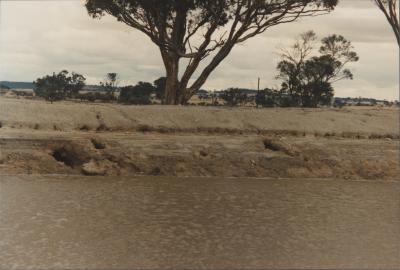 Property of AD (Alan) and JA (Jennifer) Gelmi, Dangin, Western Australia, Australia - 003