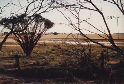 Property of T (Trevor) Johnson, Burrakin, Western Australia, Australia - 002