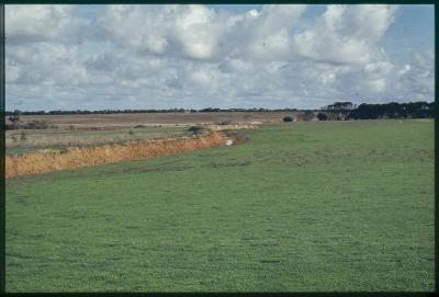 Property of DJ (David) Morris, Kingscote, South Australia, Australia - 008