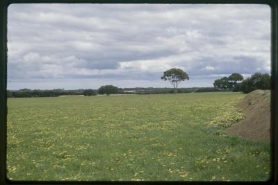 Property of DJ (David) Morris, Kingscote, South Australia, Australia - 003