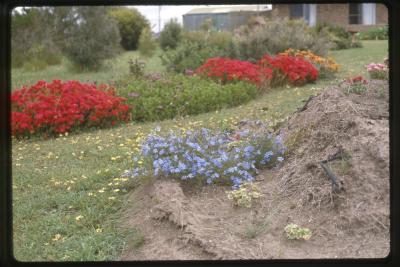 Property of DJ (David) Morris, Kingscote, South Australia, Australia - 014