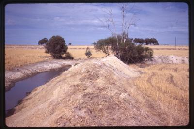 Property of DJ (David) Morris, Kingscote, South Australia, Australia - 017