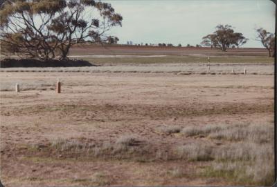 WISALTS Trial Site at Property of FJD (Dan) Keast, Dangin, Western Australia, Australia - 010