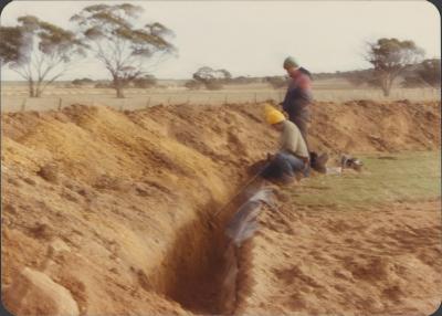 WISALTS Trial Site at Property of FJD (Dan) Keast, Dangin, Western Australia, Australia - 013