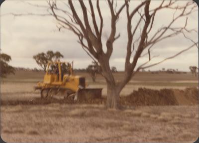 WISALTS Trial Site at Property of FJD (Dan) Keast, Dangin, Western Australia, Australia - 018