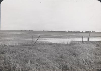Kondut, Western Australia, Australia - 001