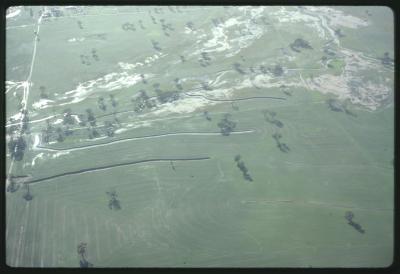 WISALTS Trial Site at Property of FJD (Dan) Keast, Dangin, Western Australia, Australia - 003