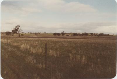 WISALTS Trial Site at Property of FJD (Dan) Keast, Dangin, Western Australia, Australia - 025