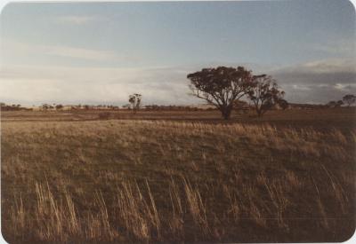 WISALTS Trial Site at Property of FJD (Dan) Keast, Dangin, Western Australia, Australia - 026