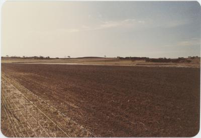 WISALTS Trial Site at Property of FJD (Dan) Keast, Dangin, Western Australia, Australia - 029