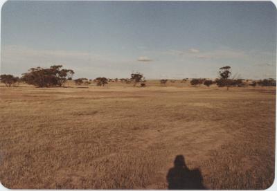 WISALTS Trial Site at Property of FJD (Dan) Keast, Dangin, Western Australia, Australia - 031