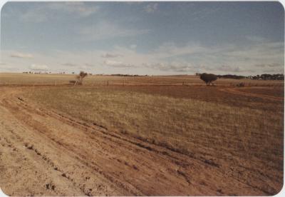 WISALTS Trial Site at Property of FJD (Dan) Keast, Dangin, Western Australia, Australia - 033