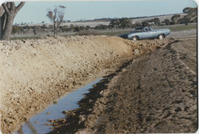 WISALTS Trial Site at Property of FJD (Dan) Keast, Dangin, Western Australia, Australia - 034