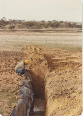 WISALTS Trial Site at Property of FJD (Dan) Keast, Dangin, Western Australia, Australia - 038