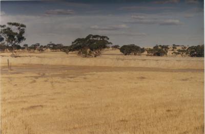 WISALTS Trial Site at Property of FJD (Dan) Keast, Dangin, Western Australia, Australia - 041