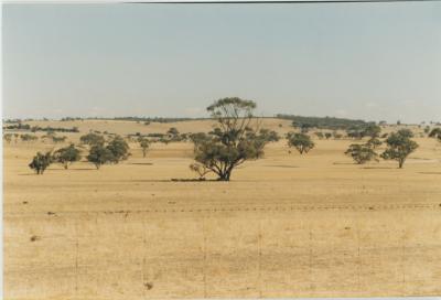 WISALTS Trial Site at Property of FJD (Dan) Keast, Dangin, Western Australia, Australia - 043