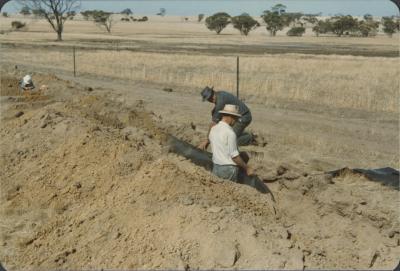 WISALTS Trial Site at Property of FJD (Dan) Keast, Dangin, Western Australia, Australia - 005