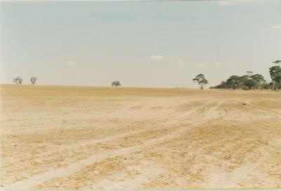 WISALTS Trial Site at Property of FJD (Dan) Keast, Dangin, Western Australia, Australia - 044