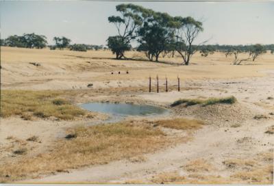 WISALTS Trial Site at Property of FJD (Dan) Keast, Dangin, Western Australia, Australia - 046