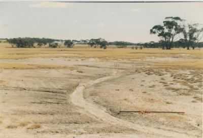 WISALTS Trial Site at Property of FJD (Dan) Keast, Dangin, Western Australia, Australia - 047