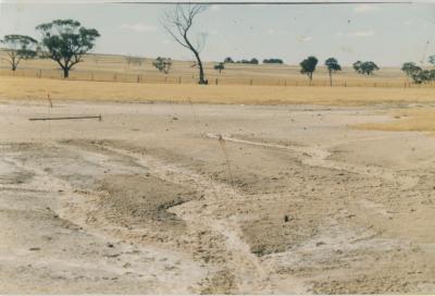 WISALTS Trial Site at Property of FJD (Dan) Keast, Dangin, Western Australia, Australia - 049