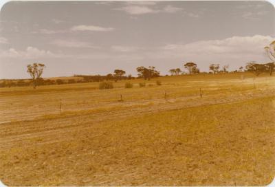WISALTS Trial Site at Property of FJD (Dan) Keast, Dangin, Western Australia, Australia - 052