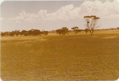 WISALTS Trial Site at Property of FJD (Dan) Keast, Dangin, Western Australia, Australia - 053