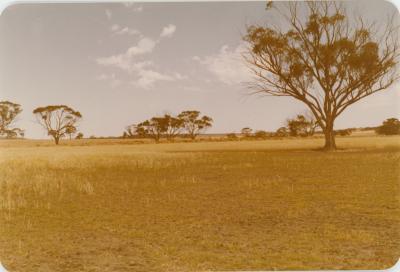 WISALTS Trial Site at Property of FJD (Dan) Keast, Dangin, Western Australia, Australia - 056