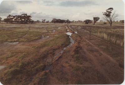 WISALTS Trial Site at Property of FJD (Dan) Keast, Dangin, Western Australia, Australia - 057