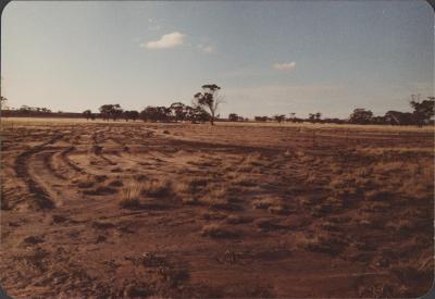 WISALTS Trial Site at Property of FJD (Dan) Keast, Dangin, Western Australia, Australia - 009