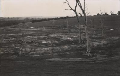 Property of PJ (Peter) and DJ (Daphne) Kerin, Bundaleer Grazing Company, Katanning, Western Australia, Australia - 011