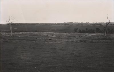 Property of PJ (Peter) and DJ (Daphne) Kerin, Bundaleer Grazing Company, Katanning, Western Australia, Australia - 013