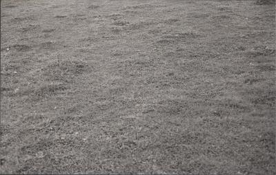 Property of PJ (Peter) and DJ (Daphne) Kerin, Bundaleer Grazing Company, Katanning, Western Australia, Australia - 014