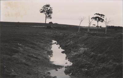 Property of PJ (Peter) and DJ (Daphne) Kerin, Bundaleer Grazing Company, Katanning, Western Australia, Australia - 015