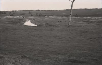 Property of PJ (Peter) and DJ (Daphne) Kerin, Bundaleer Grazing Company, Katanning, Western Australia, Australia - 016