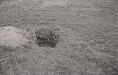 Property of PJ (Peter) and DJ (Daphne) Kerin, Bundaleer Grazing Company, Katanning, Western Australia, Australia - 018