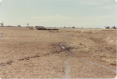 WISALTS Trial Site at Property of JW (Jim) Erskine, Denbarker, Western Australia, Australia - 003