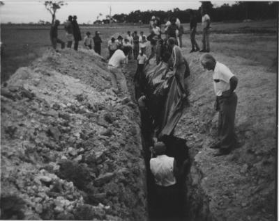 WISALTS Field Day at WISALTS Trial Site at Property of JW (Jim) Erskine, Denbarker, Western Australia, Australia - 027