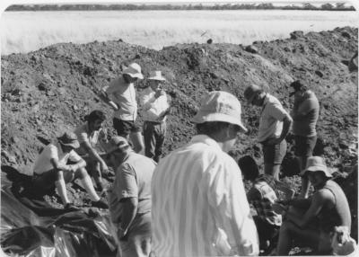 WISALTS Field Day at WISALTS Trial Site at Property of JW (Jim) Erskine, Denbarker, Western Australia, Australia - 035